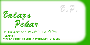 balazs pekar business card